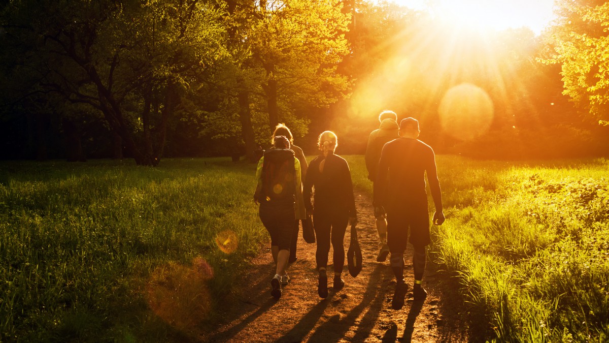 De Paden Op De Lanen In: Wandeltrainingen