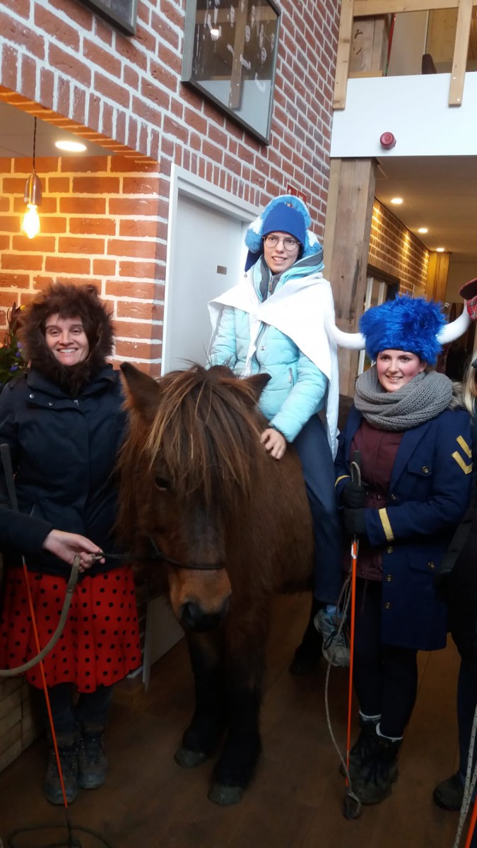 Sociale Angsttraining: Er Staat Een Paard In De Gang!