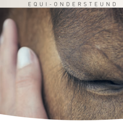 Bang voor de reacties of kritiek van anderen. Continu nadenken over wat anderen van je vinden. Spanningen in je lichaam of zelfs paniekaanvallen. Dan is de groep 'Omgaan met sociale angst' wellicht wat voor jou.