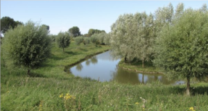 Op 28 september gaan we wandelen, deze keer naar de Wallen van Retranchement. We lopen een afwisselende route van ongeveer 3,5 kilometer; een route in het groen, met onderweg veel cultuurelementen.
