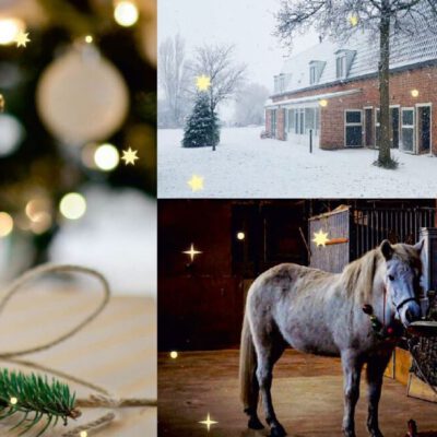 De Kraaghoeve hult zich in Kerstsfeer! Kom je ook gezellig snuffelen en leuke cadeautjes inkopen?