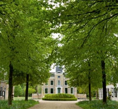 Deze mooie route gaat via geheimzinnige slingerpaadjes, naar prachtige waterpartijen. Ruik de zoete geur van rhododendrons en andere eeuwenoude sierplanten en hoor het geruis van de branding op de achtergrond.
