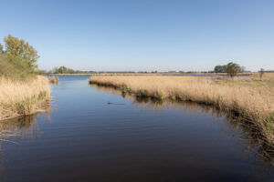 Ga mee op een ontspannen wandeling tussen De Griete en Terneuzen en geniet van weidse uitzichten over de polder en zilte zeelucht